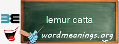 WordMeaning blackboard for lemur catta